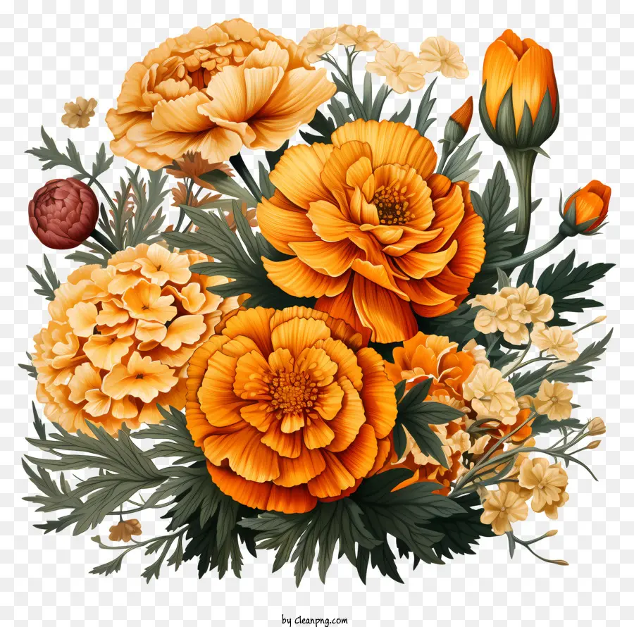 Vas，Carnations Oranye PNG
