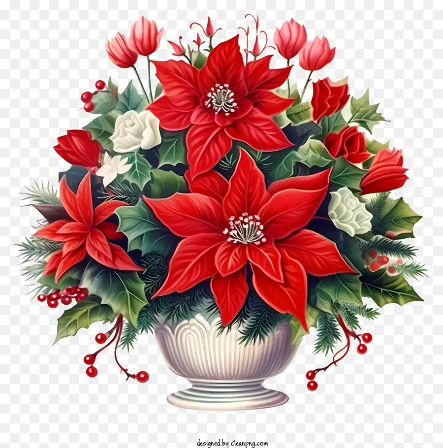 Poinsettias Merah，Bunga Lili Putih PNG