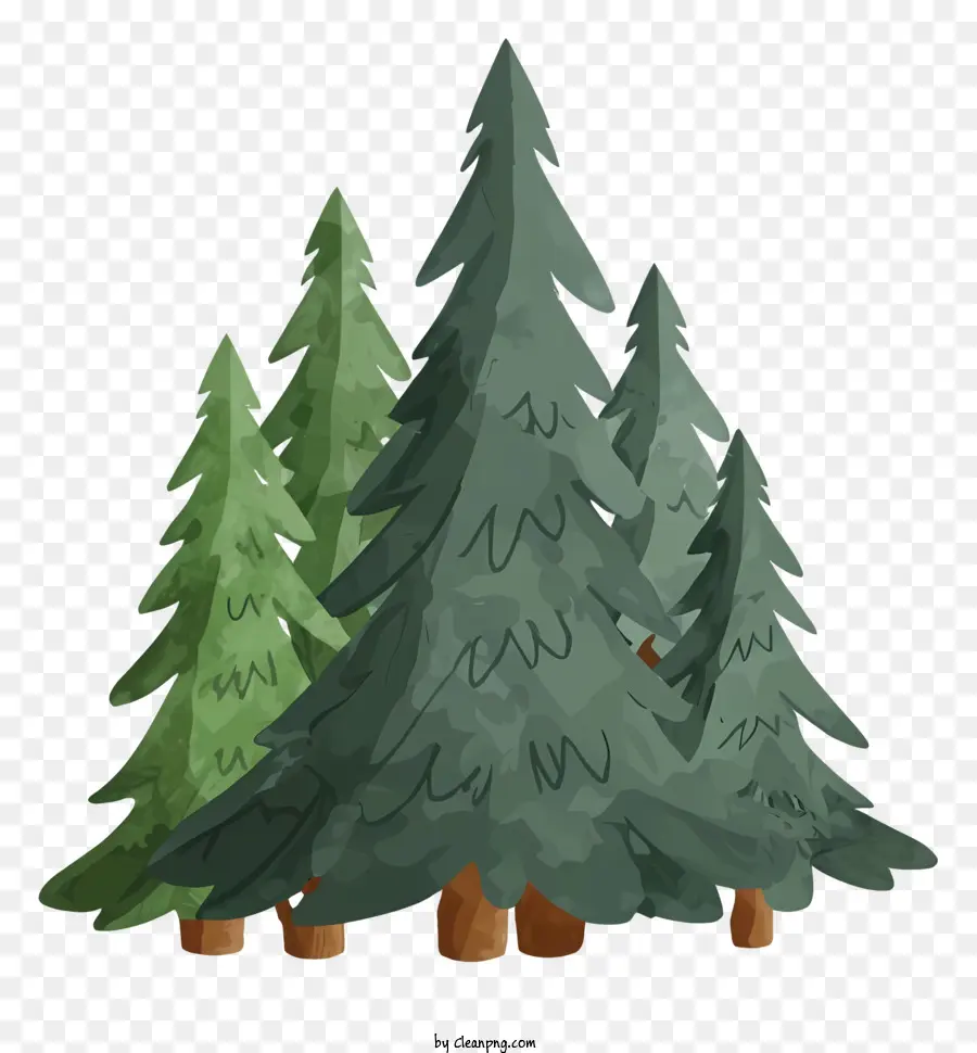 Pohon Pohon Pinus，Pohon Pohon Hijau PNG