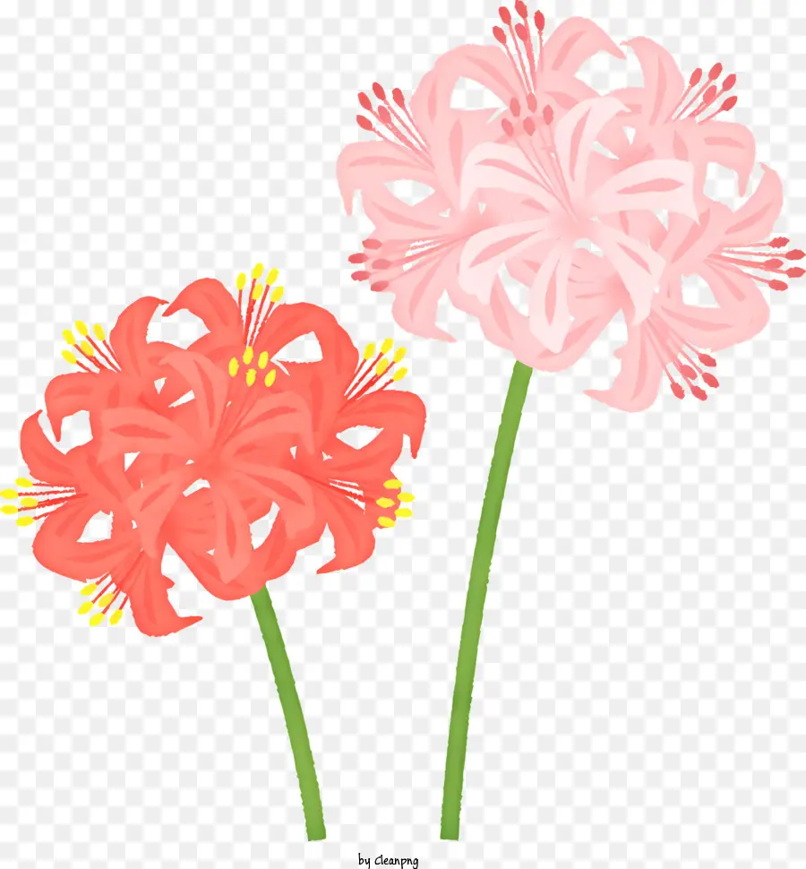 Kartun，Bunga Merah Muda PNG
