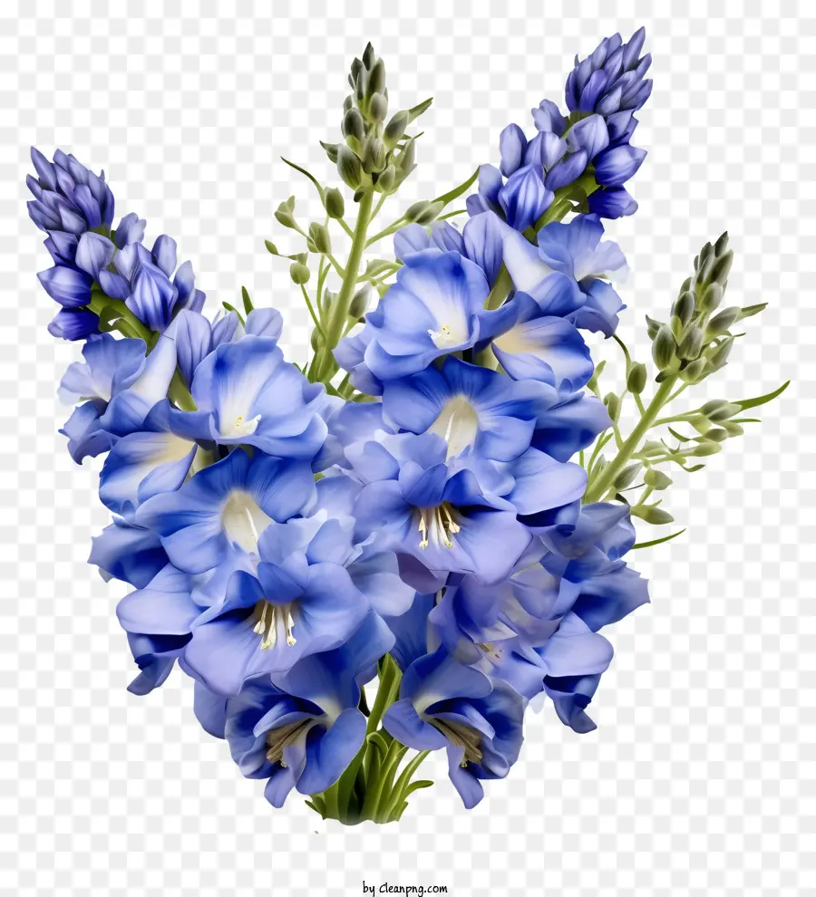 Seikat Bunga Delphinium，Bunga Biru PNG