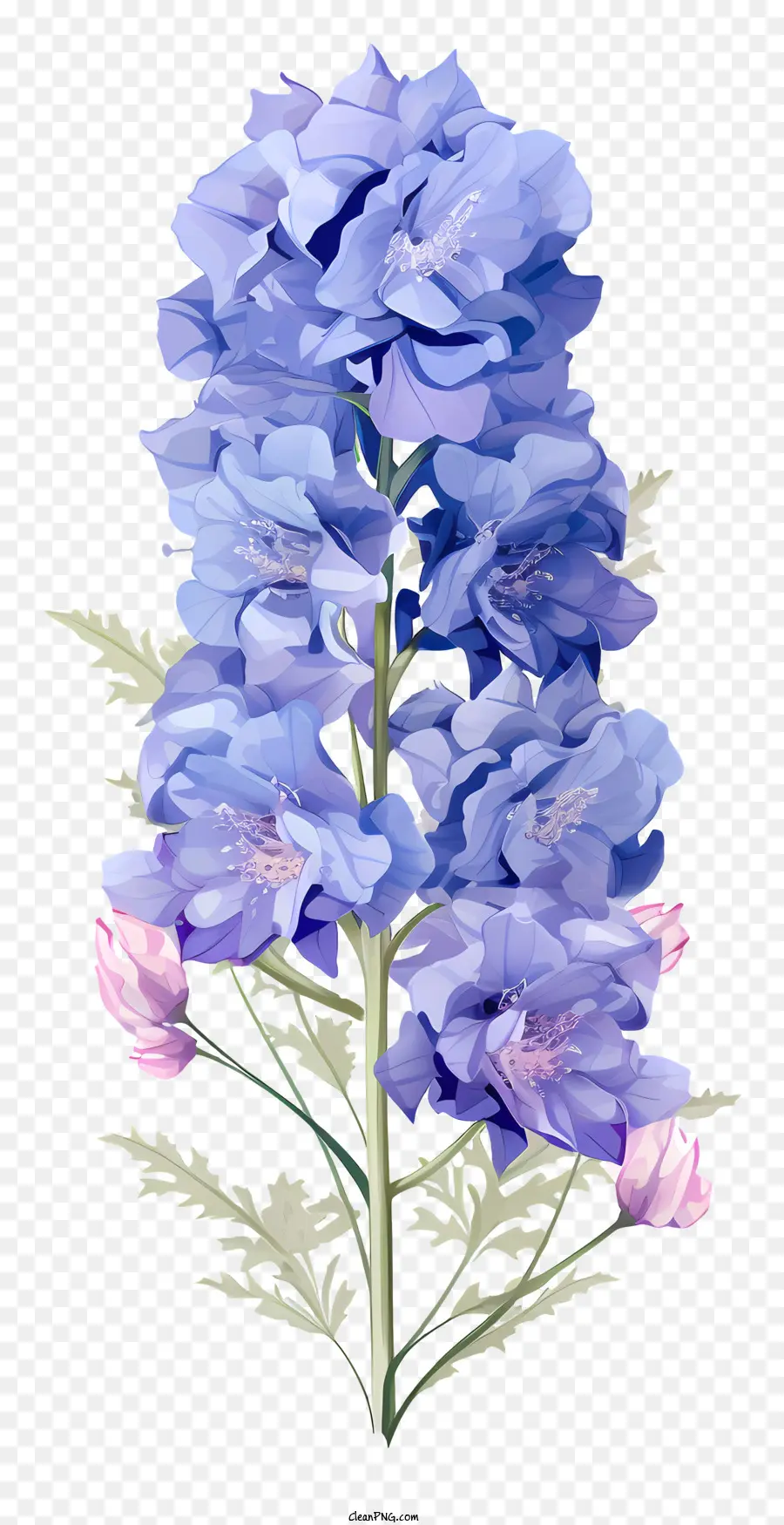 Bunga Pastel Delphinium，Lukisan Cat Air PNG