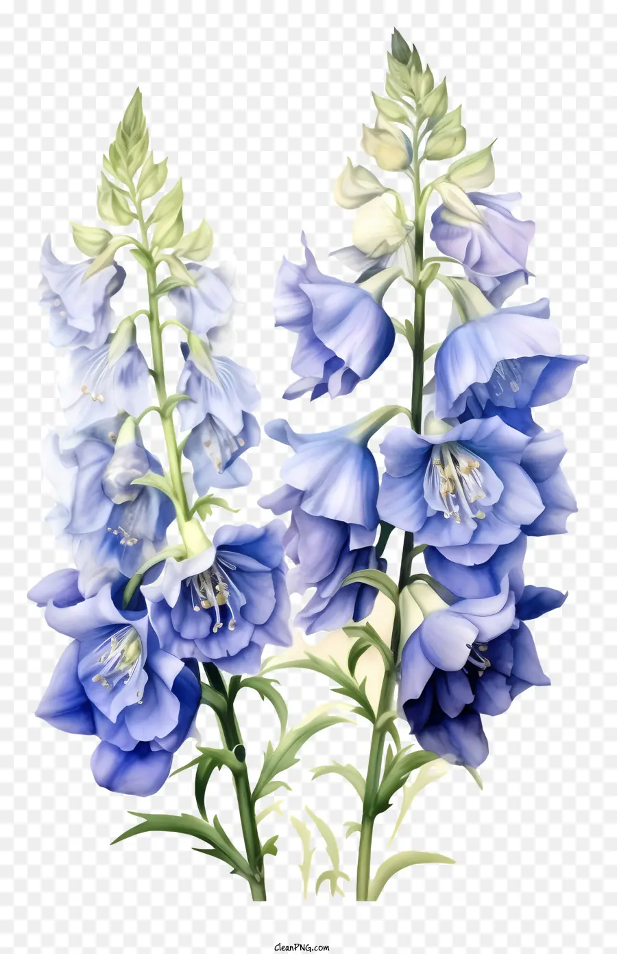 Bunga Delphinium Yang Elegan，Bunga Biru PNG