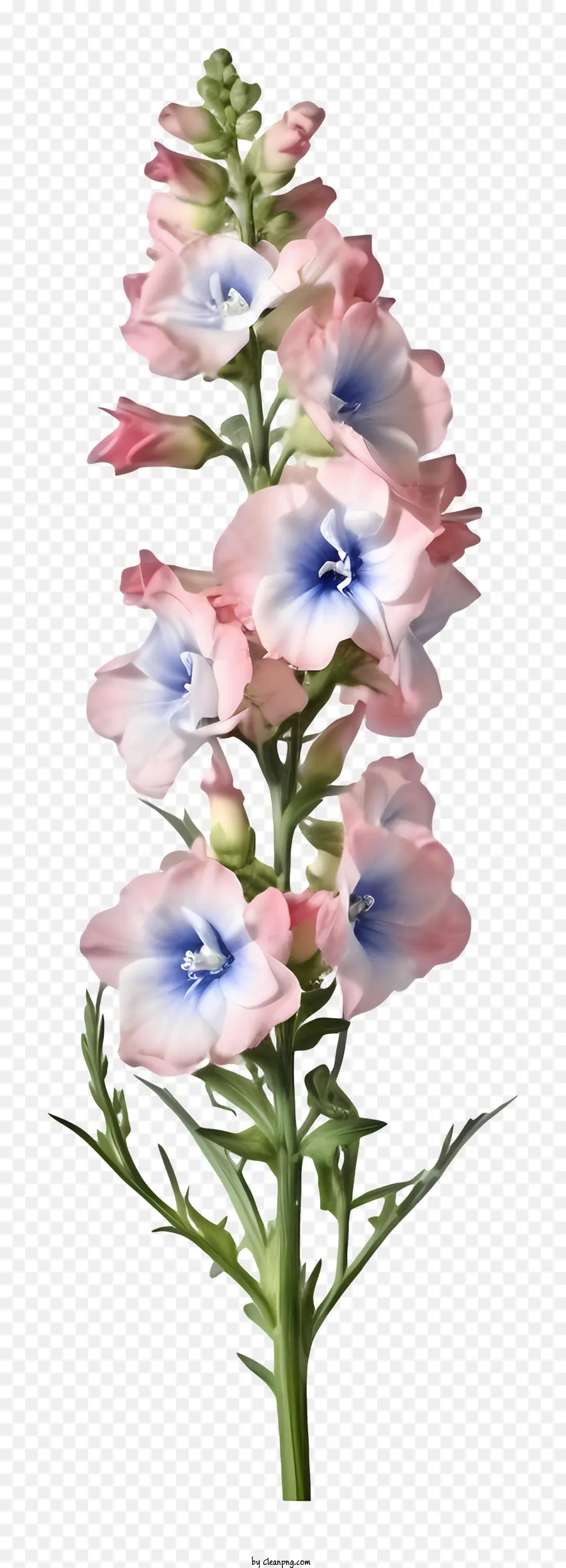 Bunga Delphinium 3d Realistis，Bunga PNG