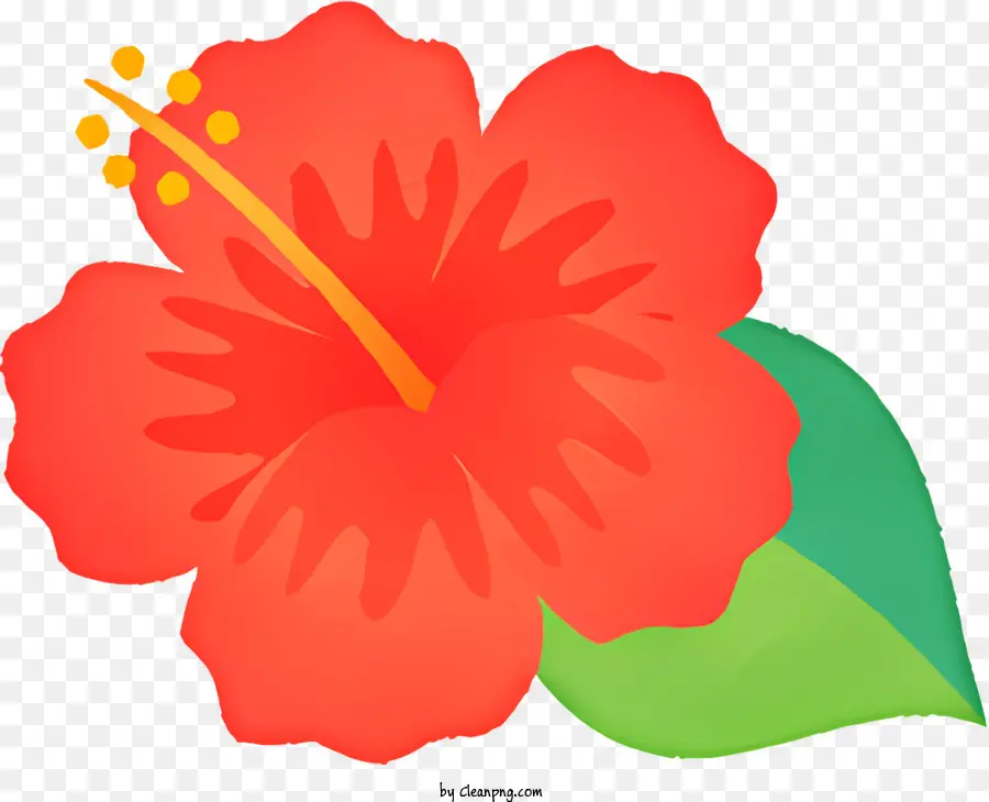 Kartun，Bunga Kembang Sepatu Merah PNG
