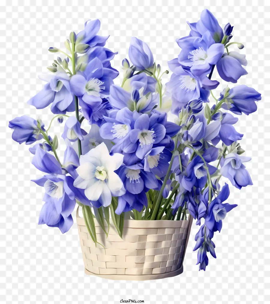 Sekeranjang Bunga Delphinium Yang Halus，Bunga Biru PNG