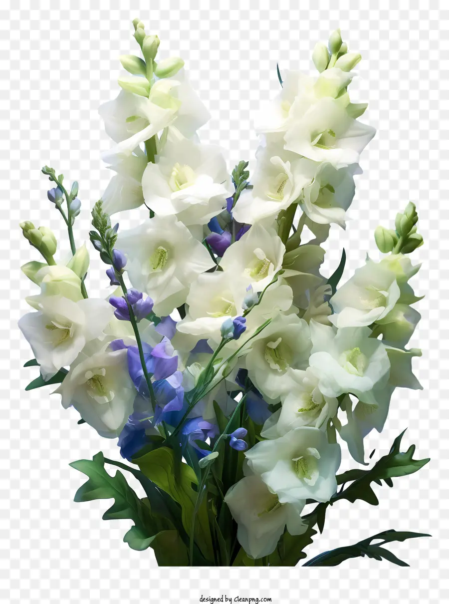 Rangkaian Bunga Delphinium，Bunga PNG