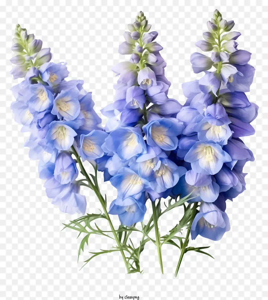 Bunch Bunga Delphinium Khusus，Bunga Bunga Biru PNG