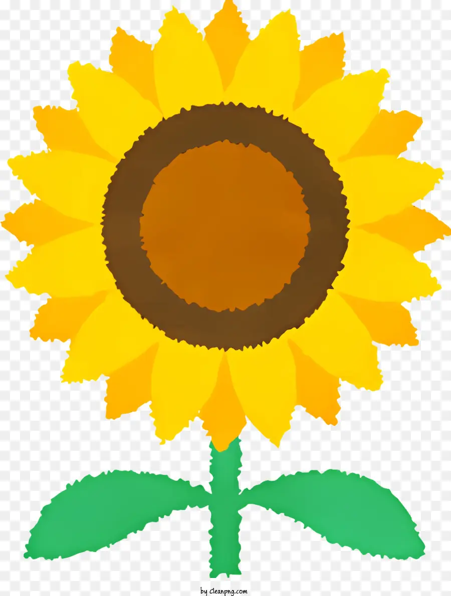 Kartun，Bunga Matahari PNG