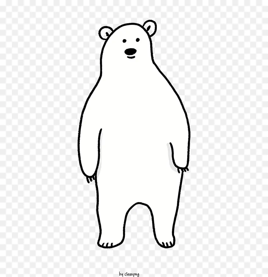 Kartun，Beruang Putih PNG