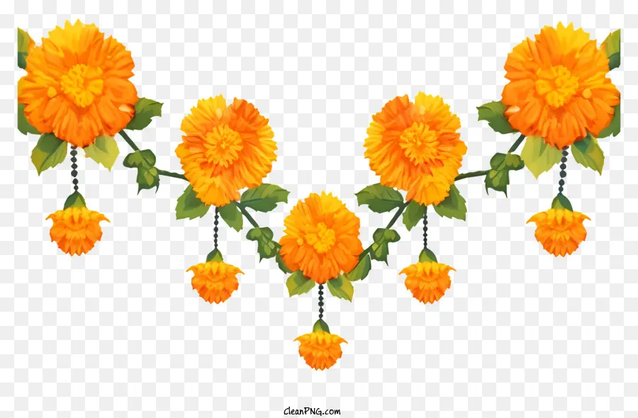 Marigold Flower Garland，Bunga PNG