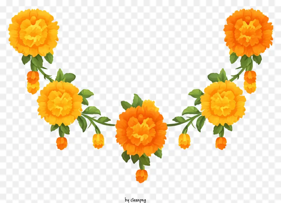 Kartun Karang Bunga Marigold，Mawar Kuning PNG