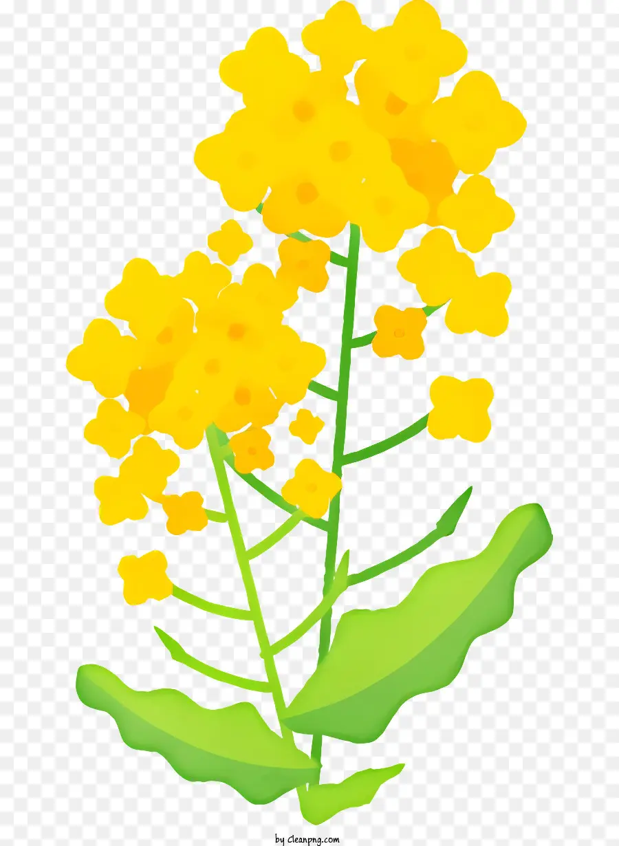 Kartun，Bunga Kuning PNG