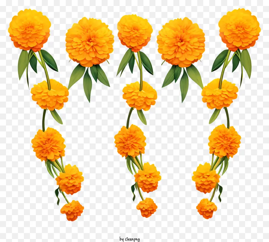 Kartun Karang Bunga Marigold，Karangan Bunga Kuning PNG