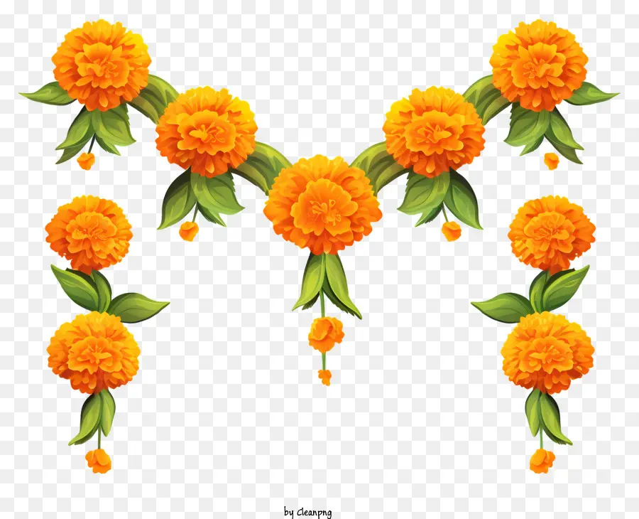 Karangan Bunga Marigold Kartun，Bunga Marigold PNG