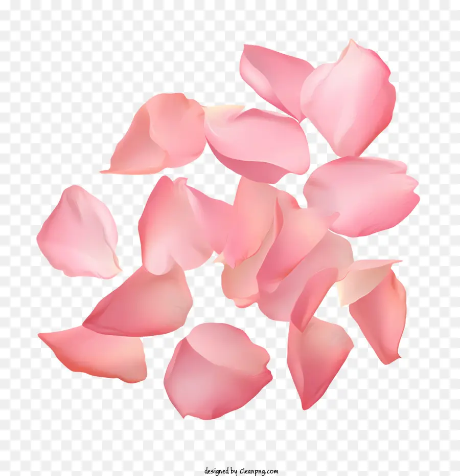 Kelopak Mawar，Pink PNG