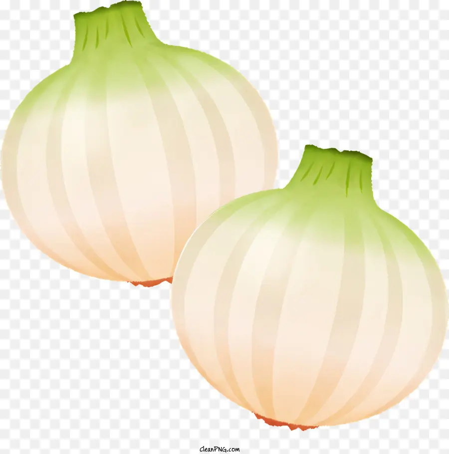 Kartun，Bawang PNG