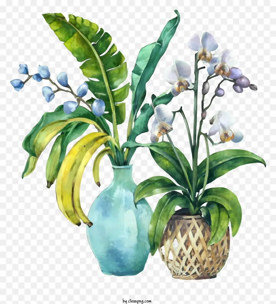 Gambar Vas，Bunga Dengan Latar Belakang Hitam PNG
