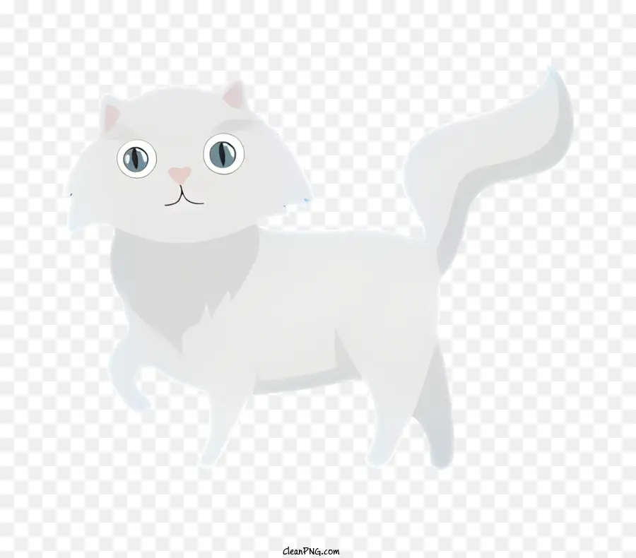 Kucing Hitam，Kucing Putih PNG