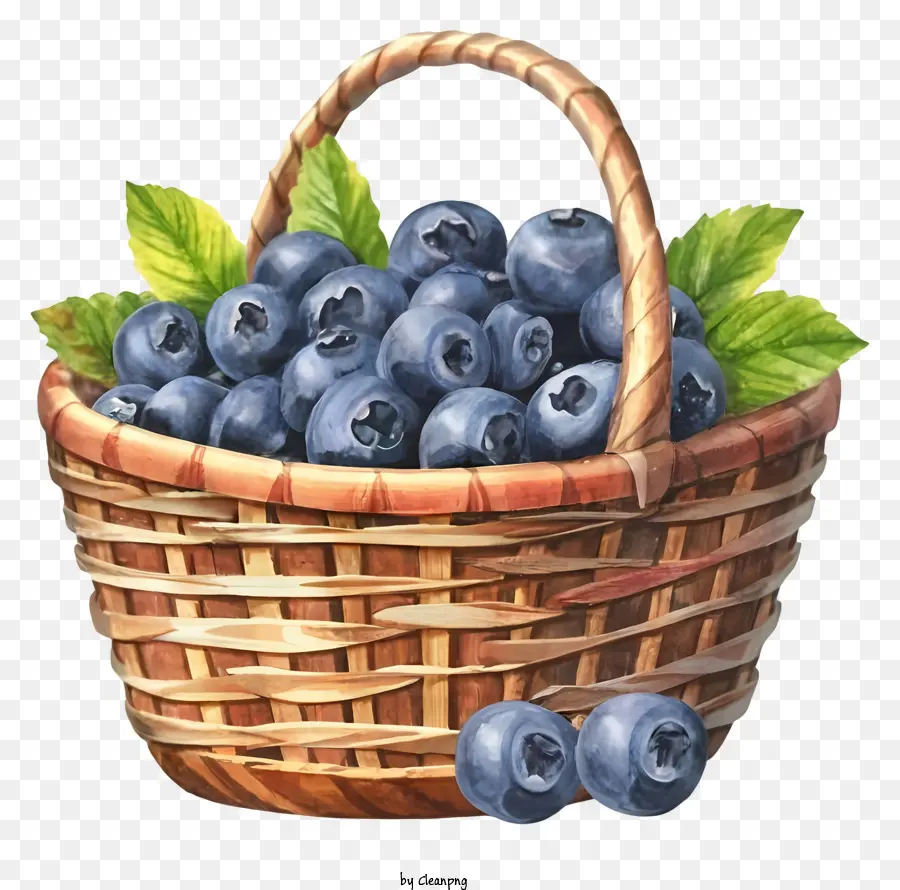 Kartun，Blueberry PNG