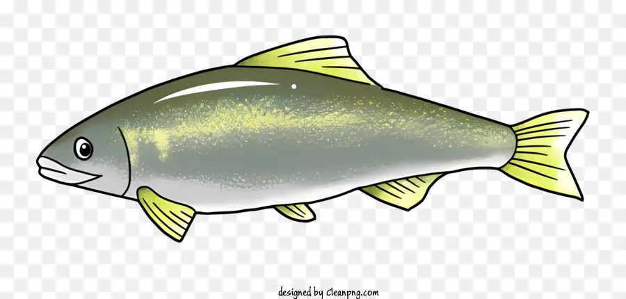Ikan，Kolam PNG