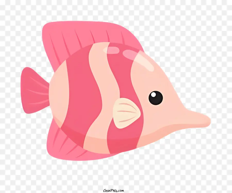 Ikan Merah Muda，Ikan Bergaris Putih PNG
