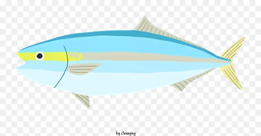 Ikan Biru，Garis Kuning PNG