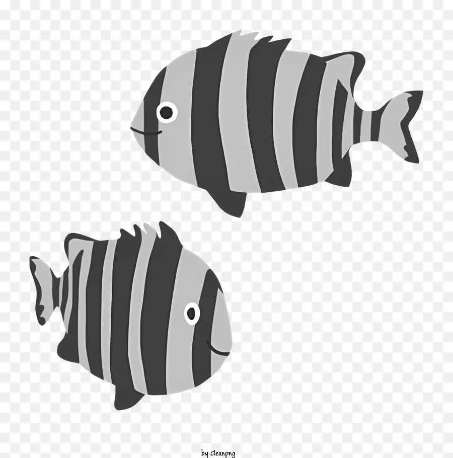 Laut，Ikan PNG