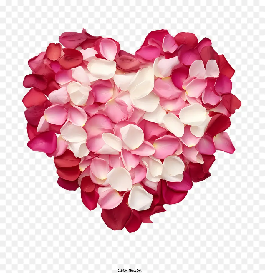 Hati Kelopak Mawar，Pink PNG