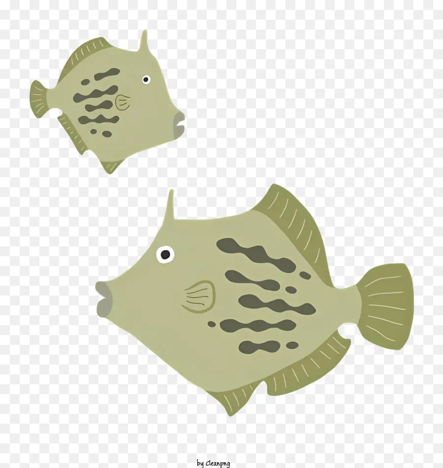 Ikan Hijau，Bintik Bintik Putih PNG