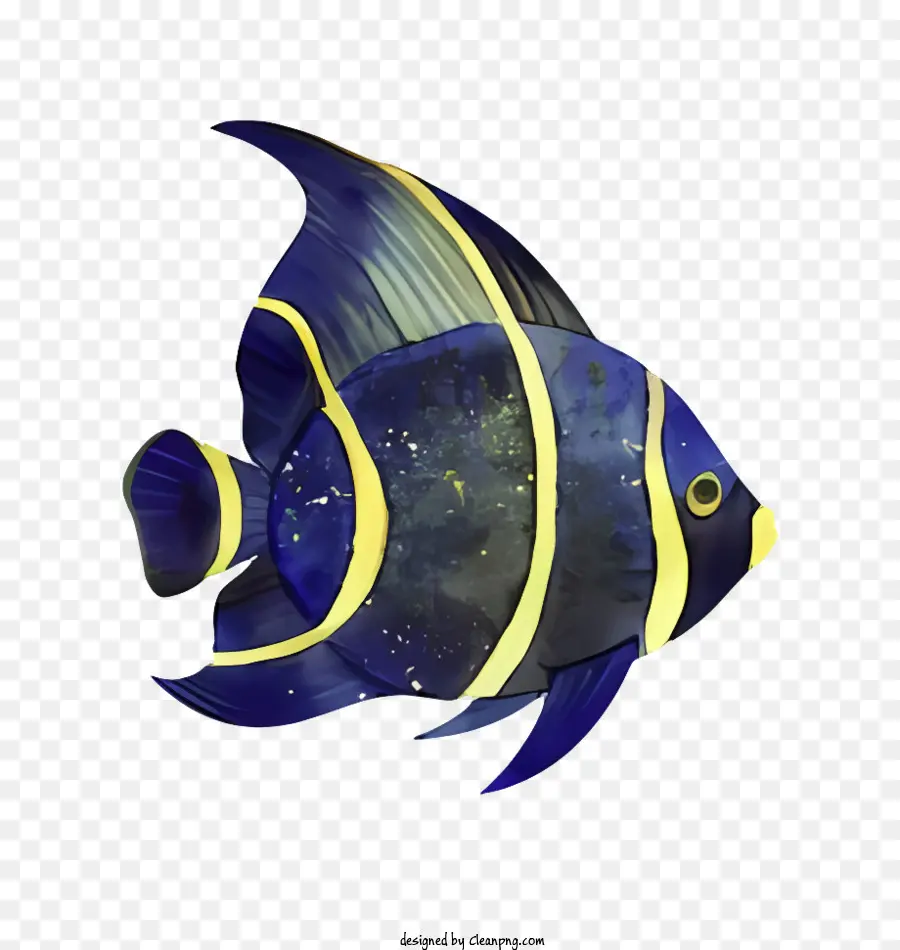 Ikan Tropis，Biru Dan Garis Garis Kuning PNG