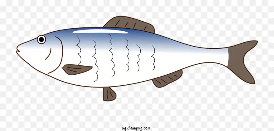 Ikan，Datar PNG