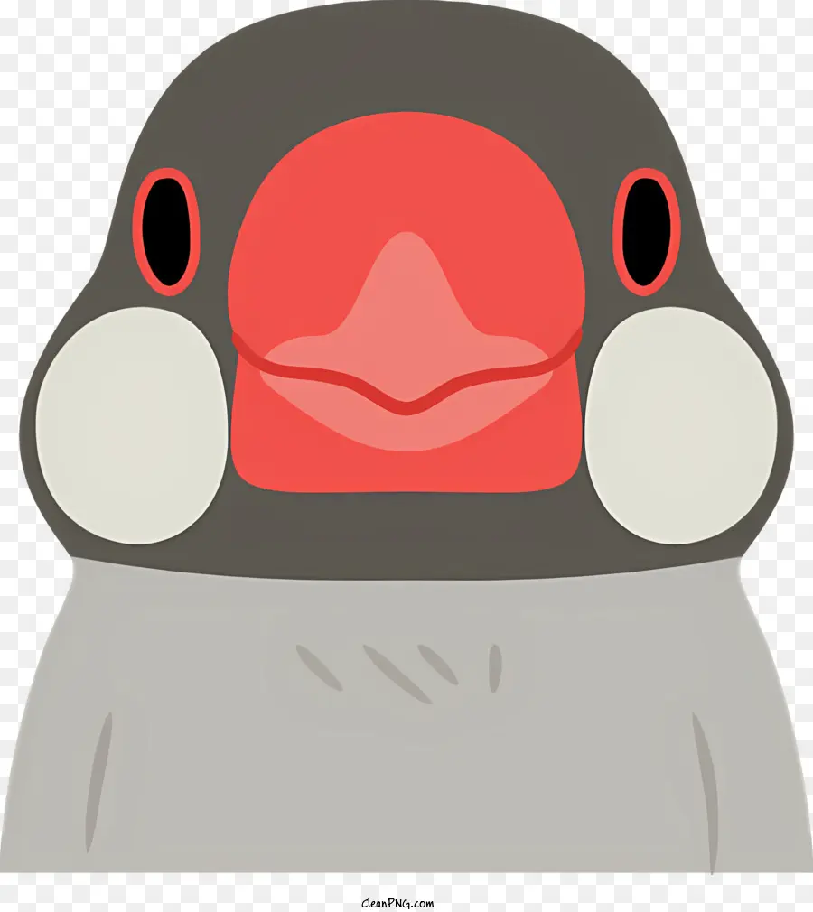 Penguin，Paruh Merah PNG