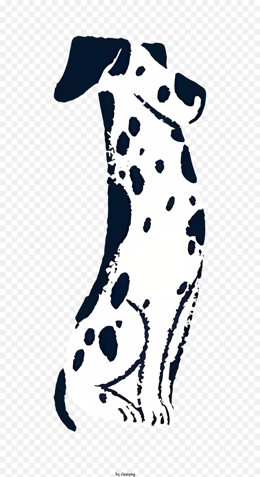 Anjing Dalmatian，Foto Hitam Dan Putih PNG