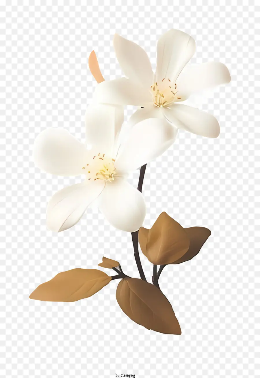 Kartun，Bunga Putih PNG