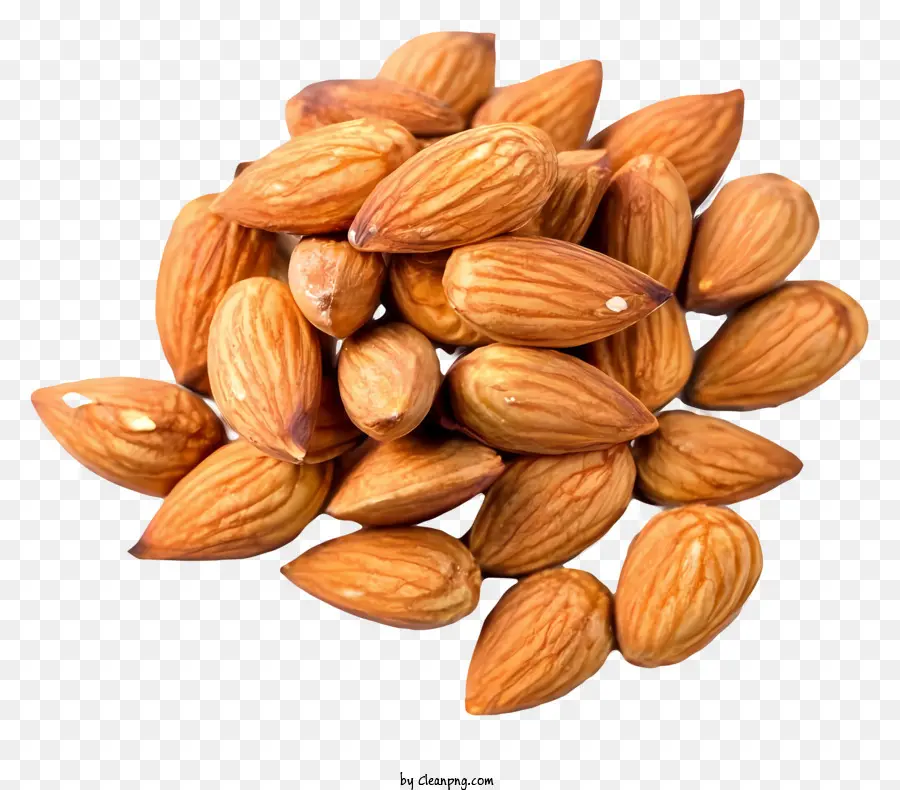 Kartun，Kacang Almond PNG