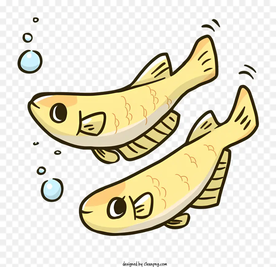 Ikan，Air PNG