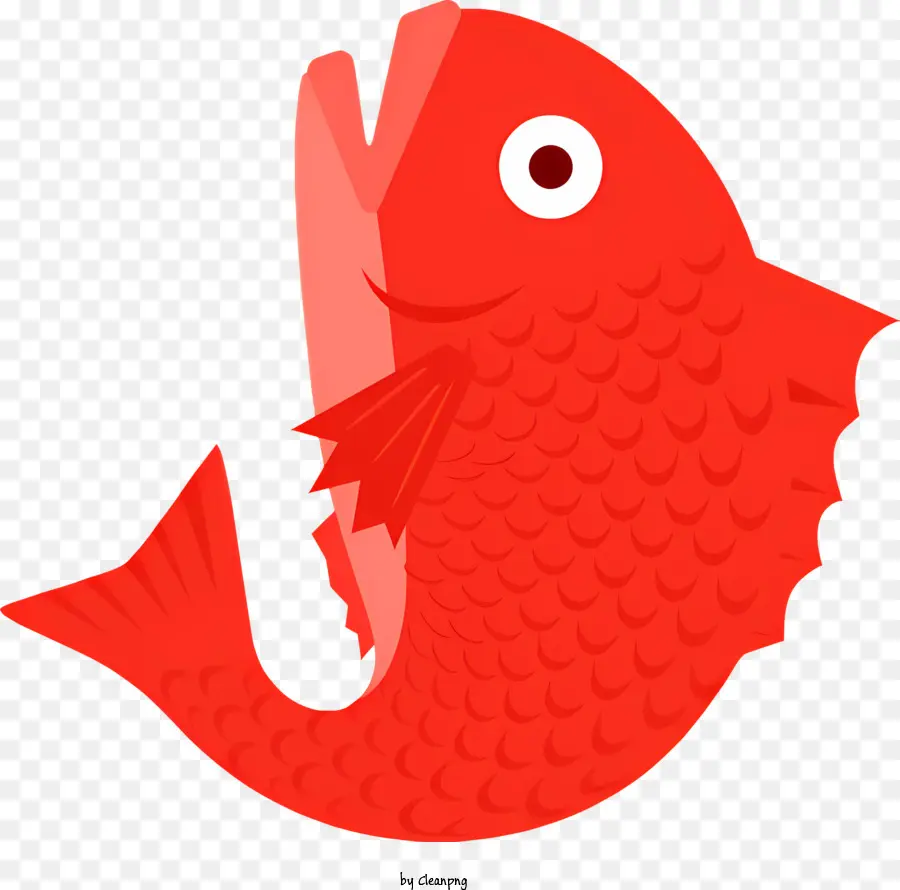 Ikan Merah，Ikan Mulut Besar PNG