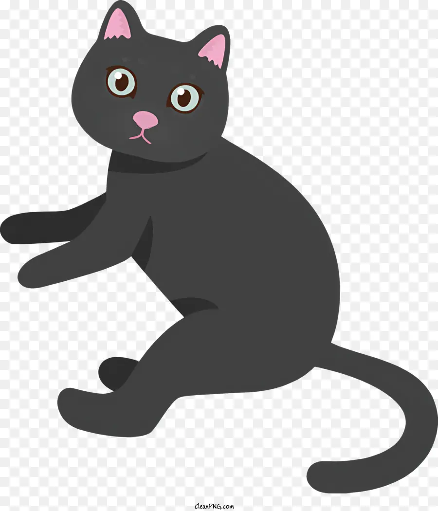 Ikon，Kucing Hitam Putih PNG