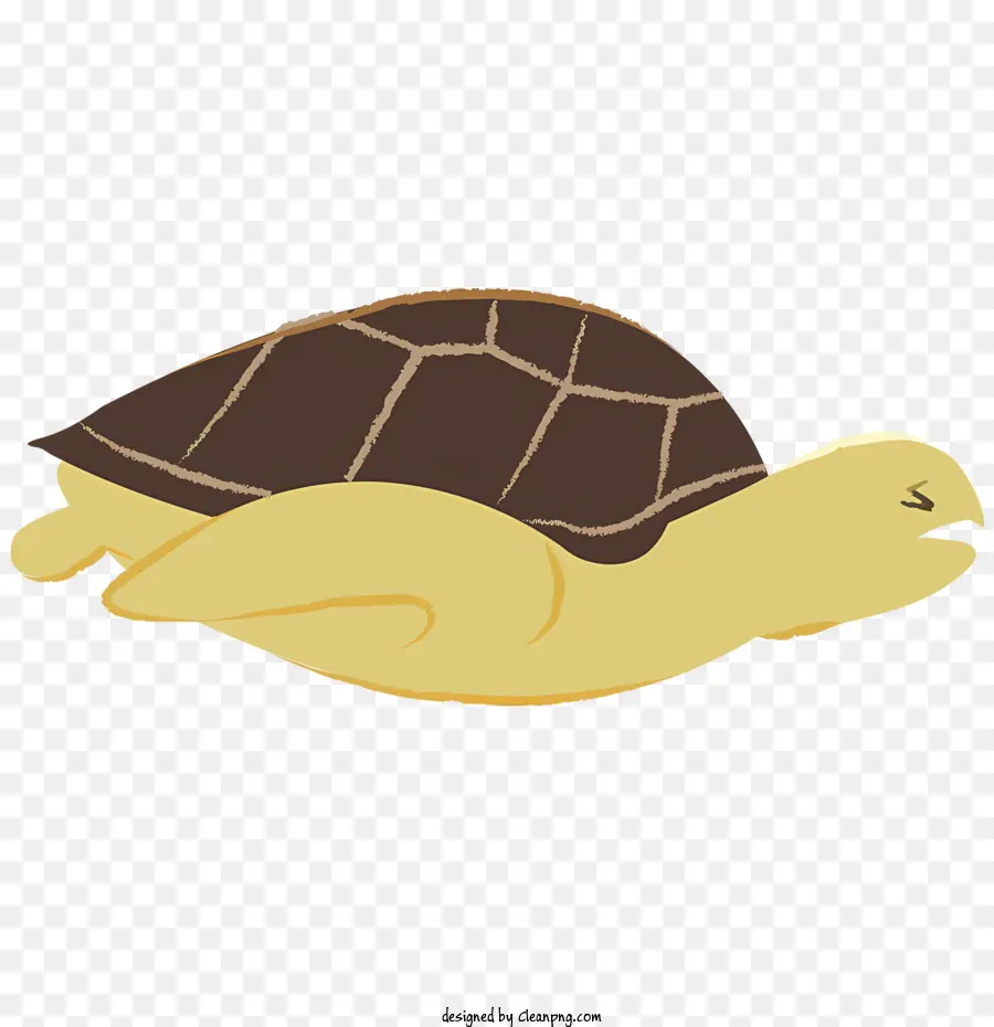 Kura Kura，Turtle Backflipper PNG