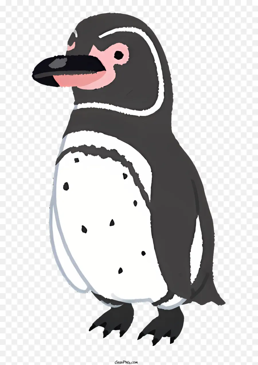 Alam，Penguin PNG