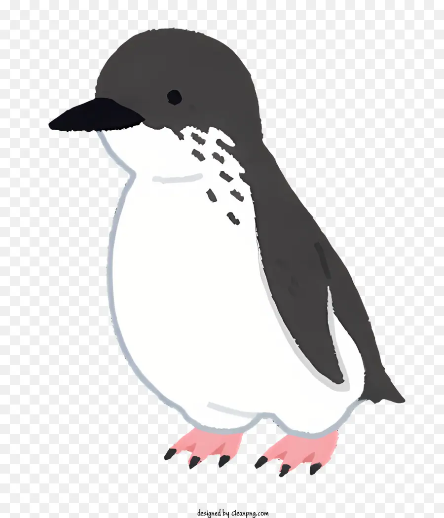 Alam，Penguin PNG