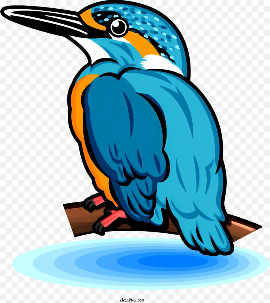 Burung Biru，Kolam PNG