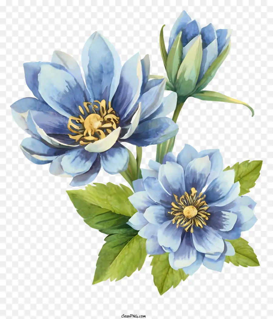 Kartun，Bunga Bunga Biru PNG