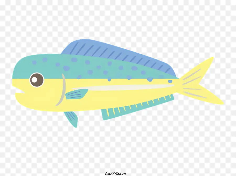 Sekolah，Ikan Lucu PNG