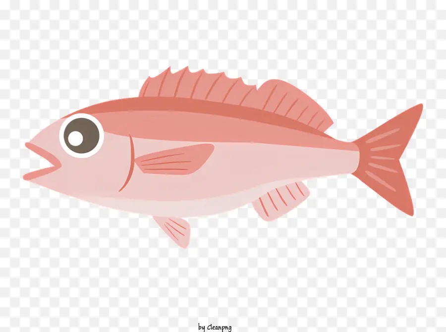 Sekolah，Ikan PNG