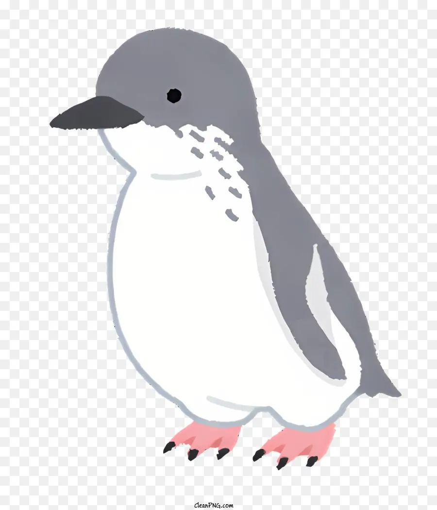 Alam，Pinguin Yang Lucu PNG