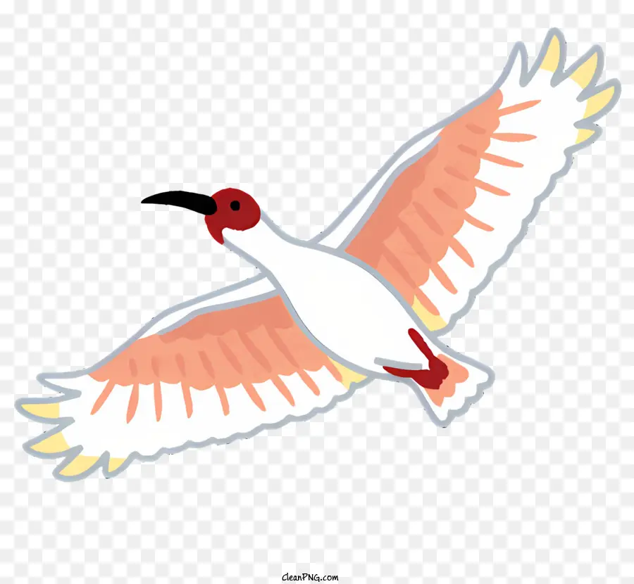 Alam，Burung Terbang PNG