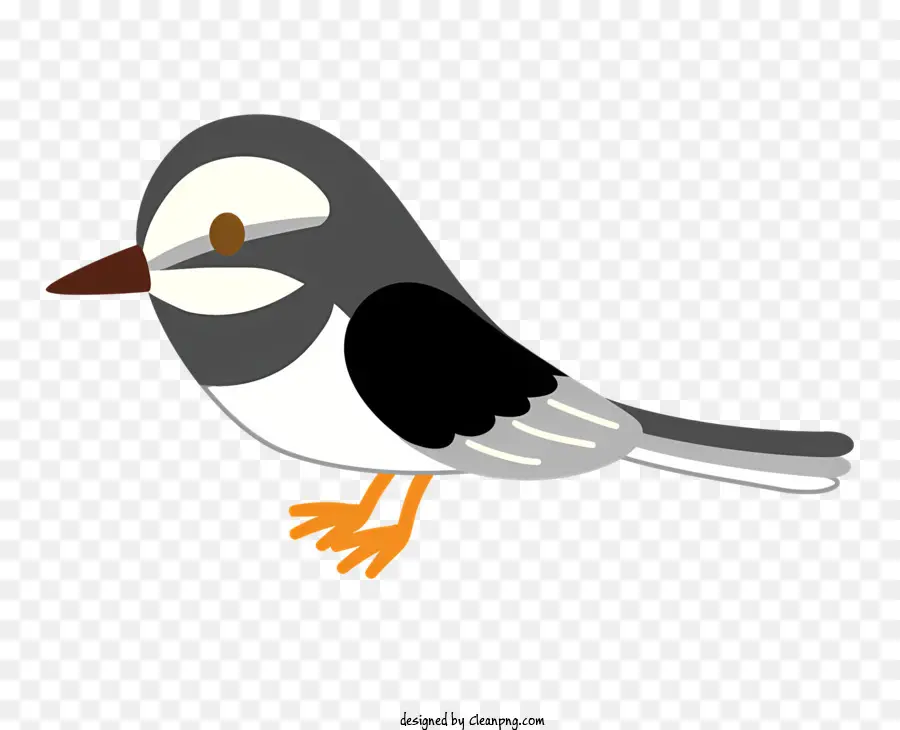 Kartun Burung，Paruh Panjang PNG