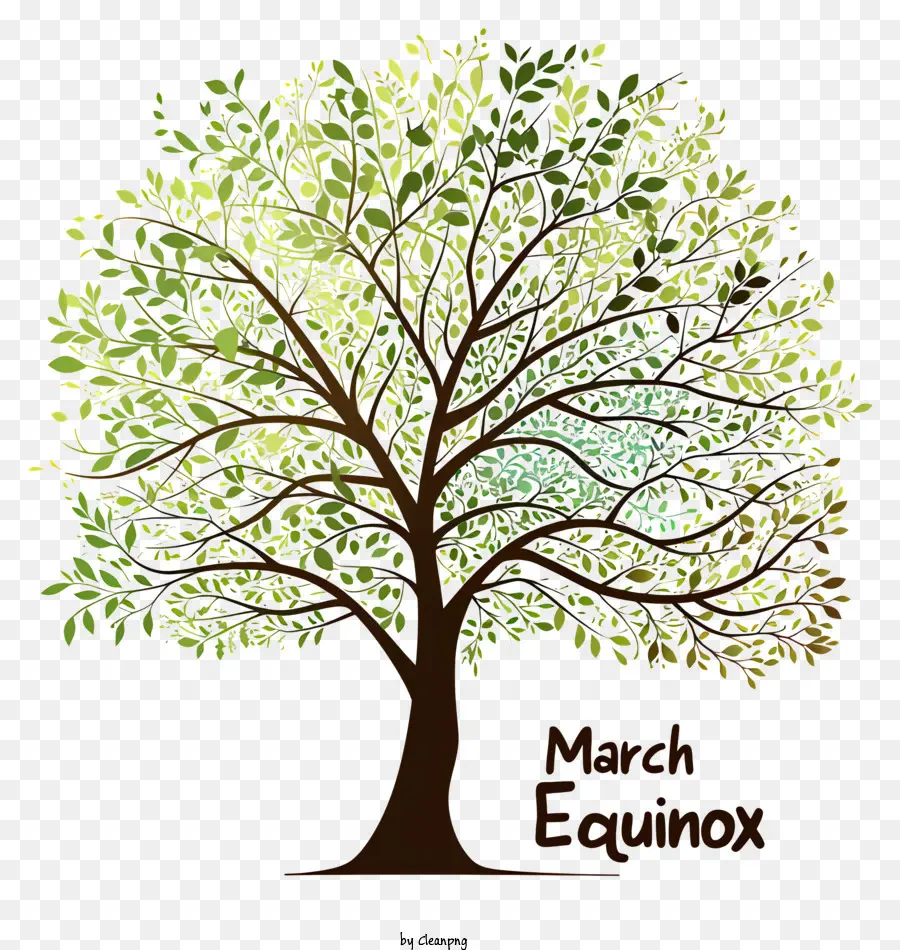 Equinox Maret，Pohon Besar PNG